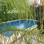 Castillitos En El Aire En Lo Alto Del Montgo-denia-piscina וילה